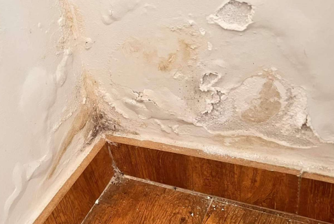 Reparacion de Humedades Top Tejados Álava